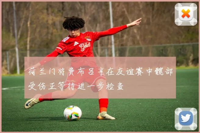 荷兰门将费布吕亨在友谊赛中髋部受伤正等待进一步检查